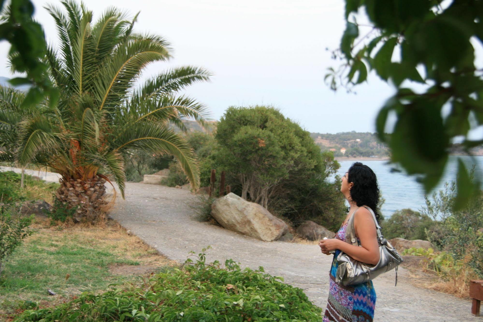 Guest house Terrace 2*