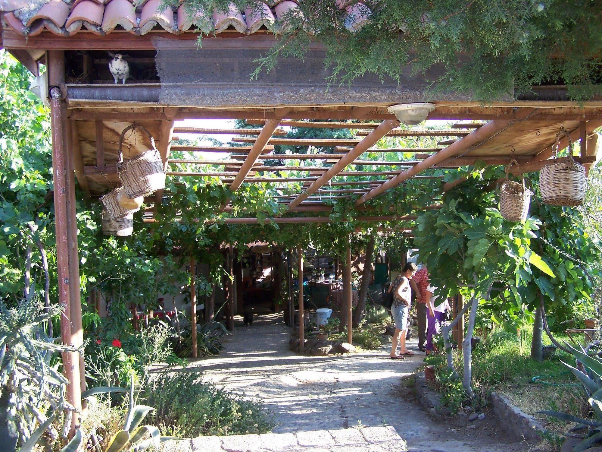 Guest house Terrace Assos
