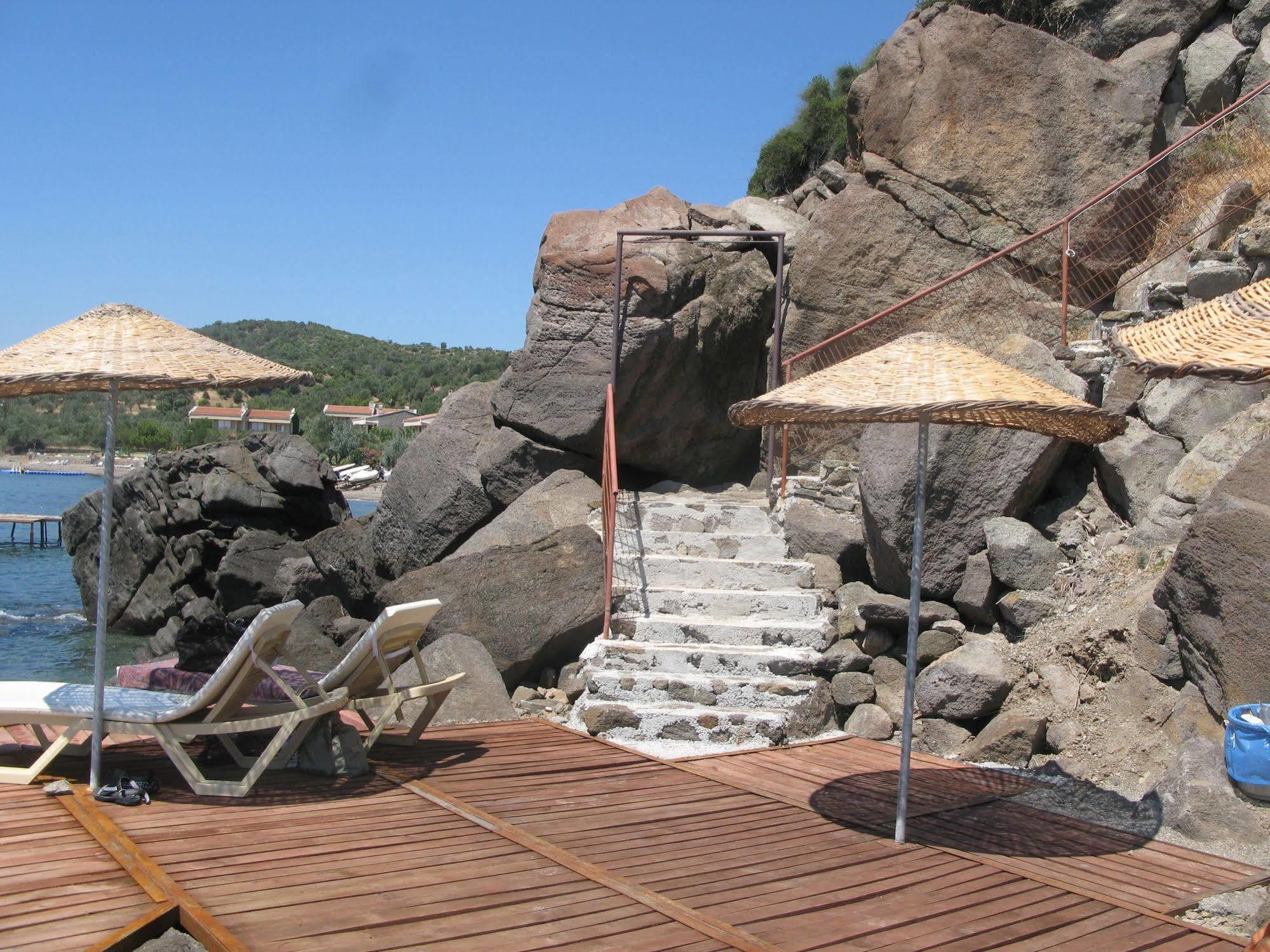 Terrace Guest house