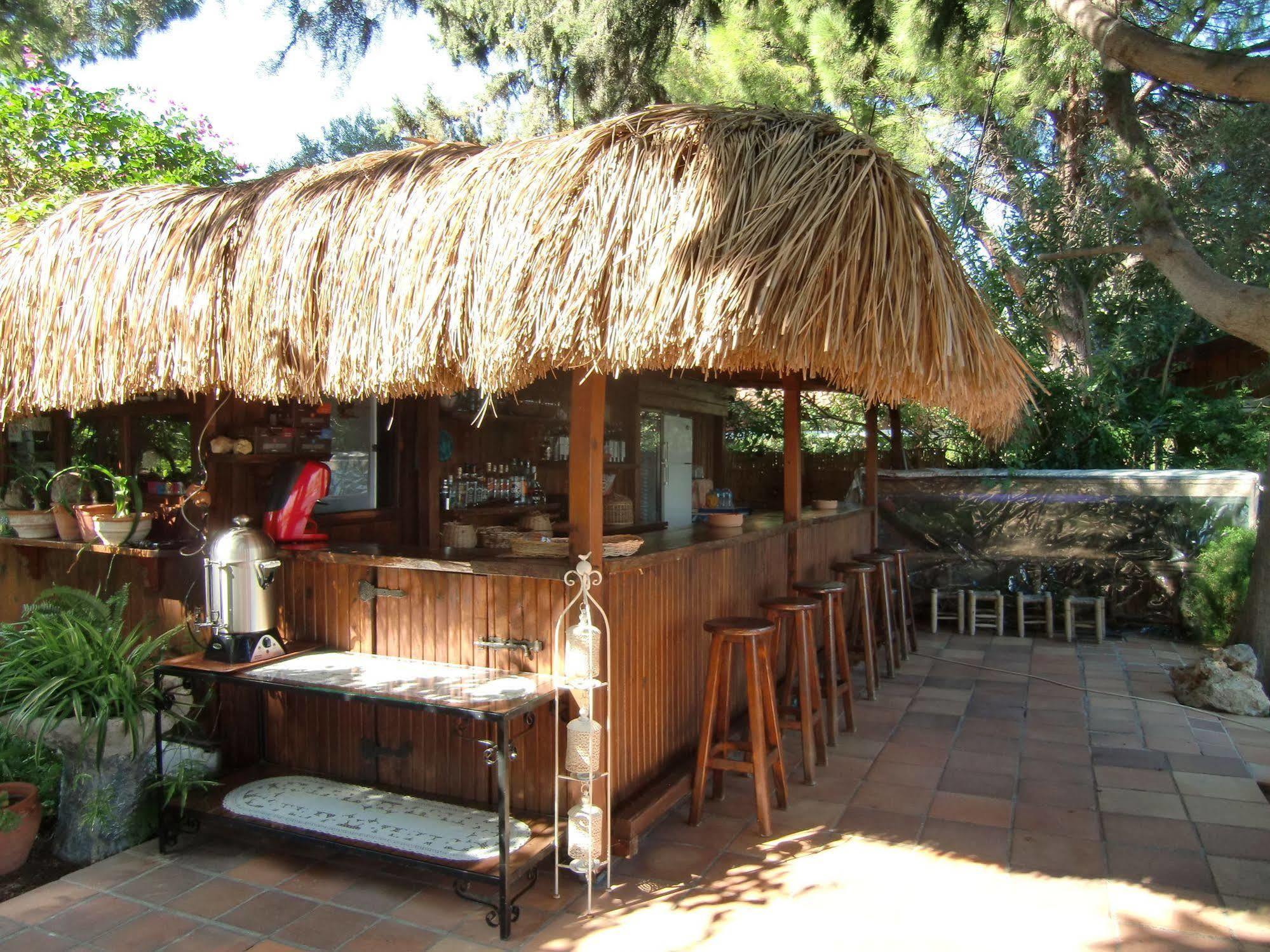 Happy Caretta Dalyan