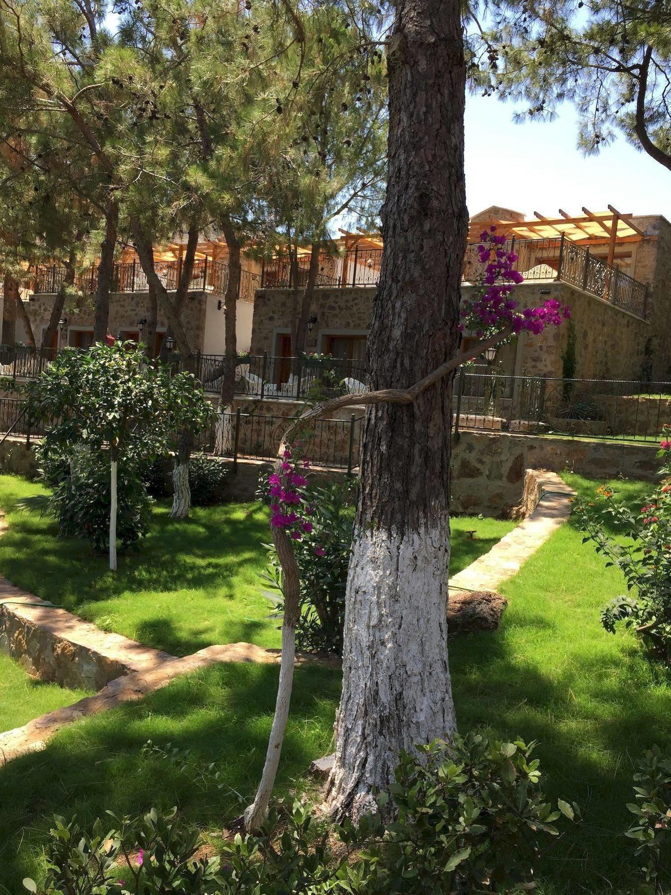 Beyaz Guvercin Hotel