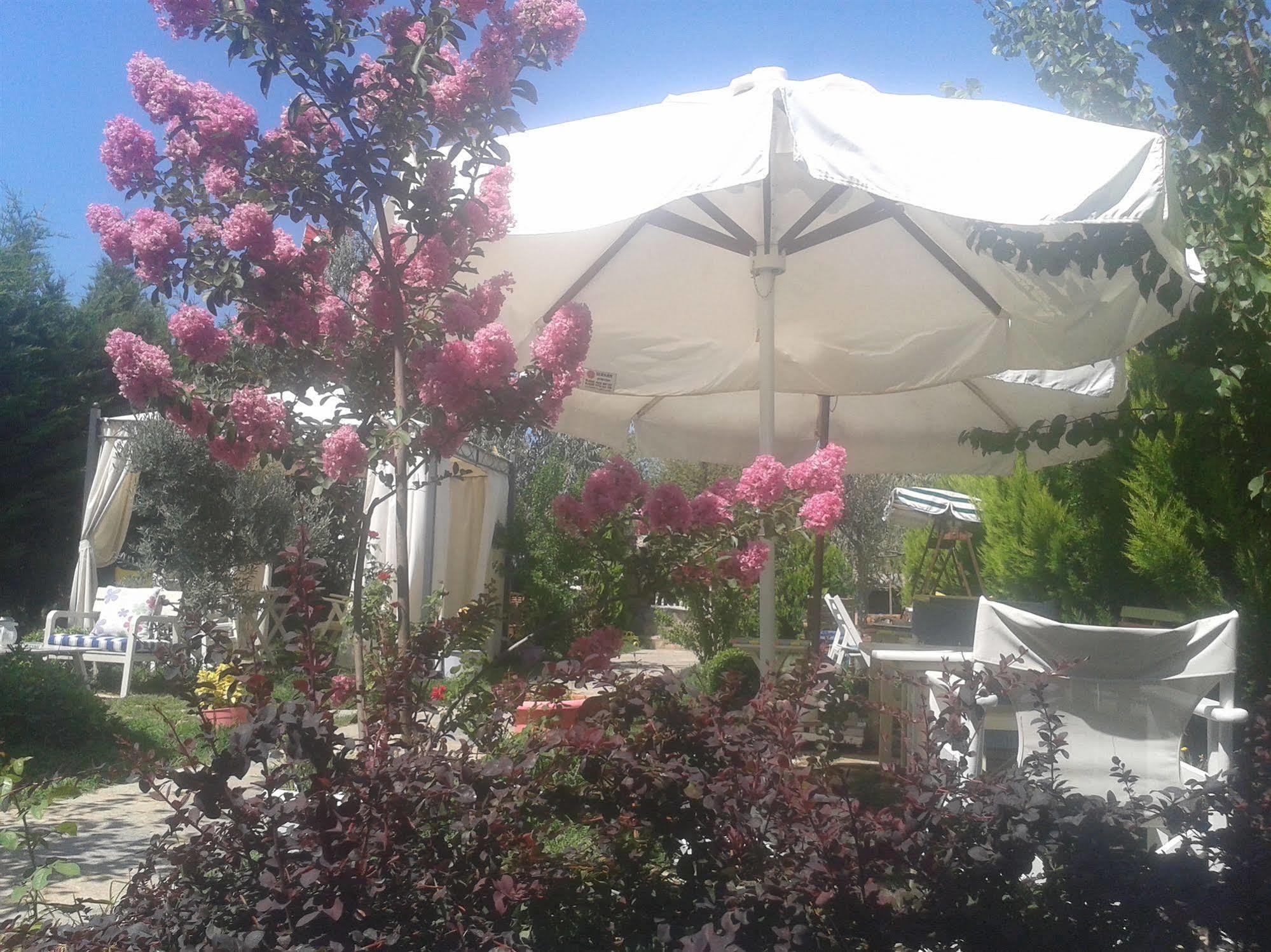Hotel Ege