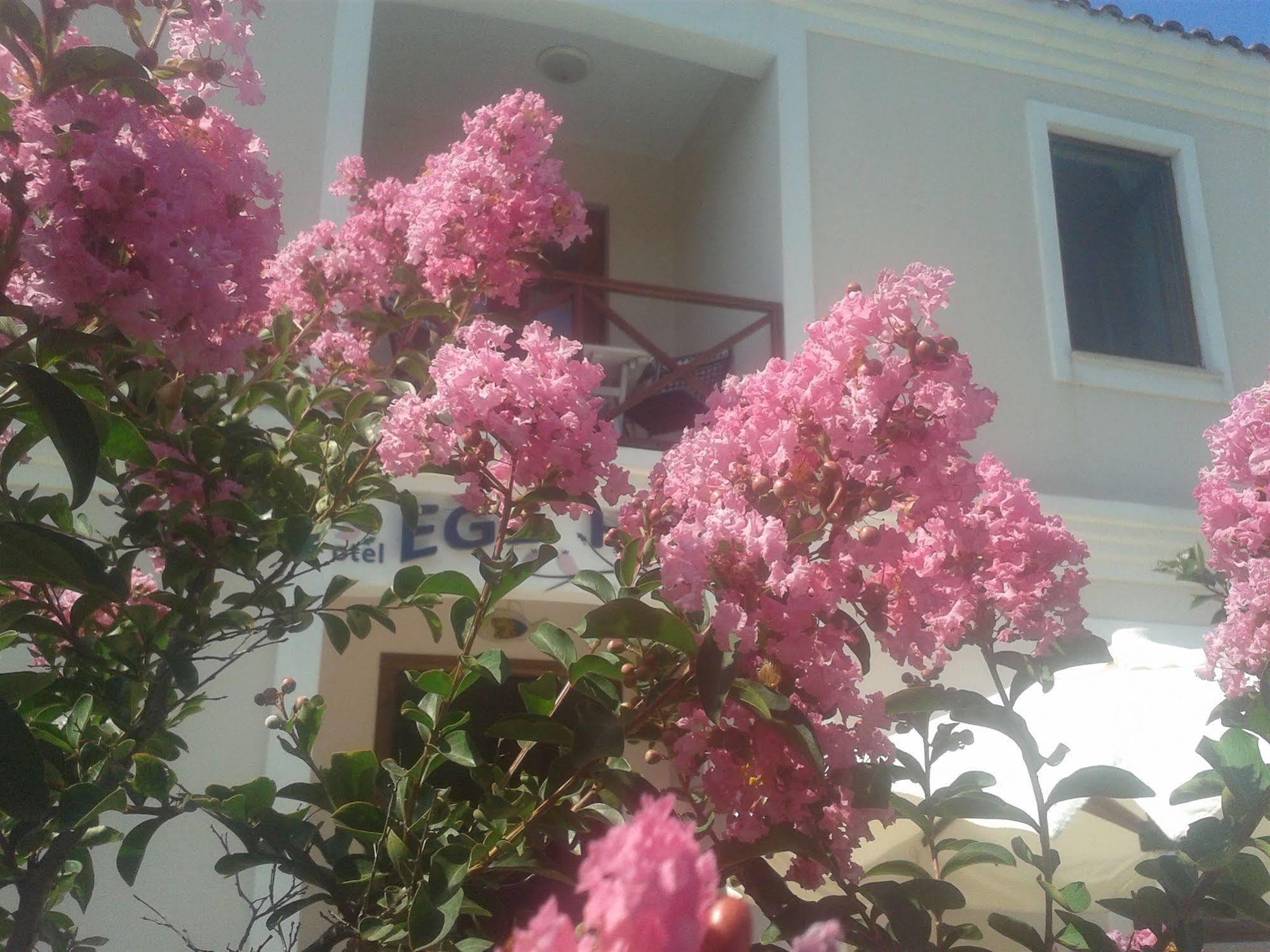 Ege Hotel