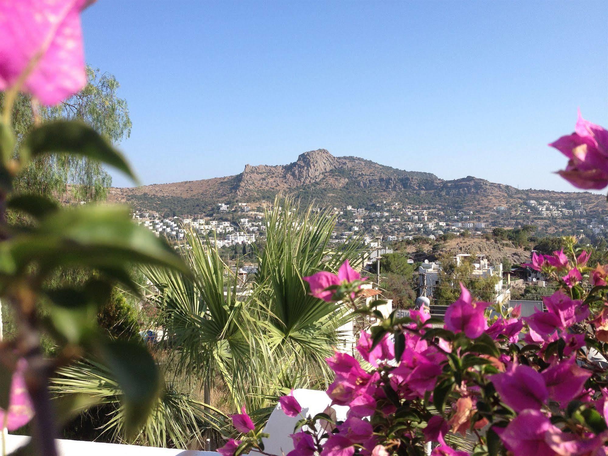 Panorama Bodrum Golturkbuku