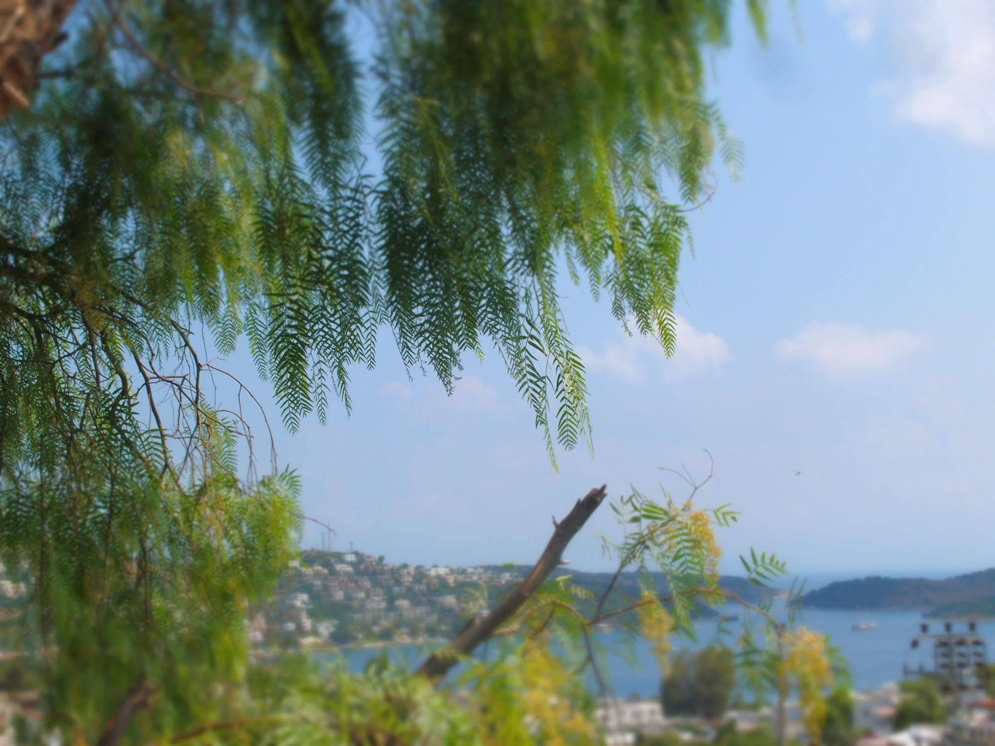 Panorama Bodrum