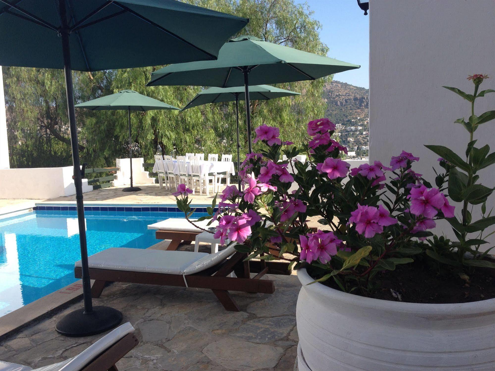 Panorama Bodrum Hotel Golturkbuku
