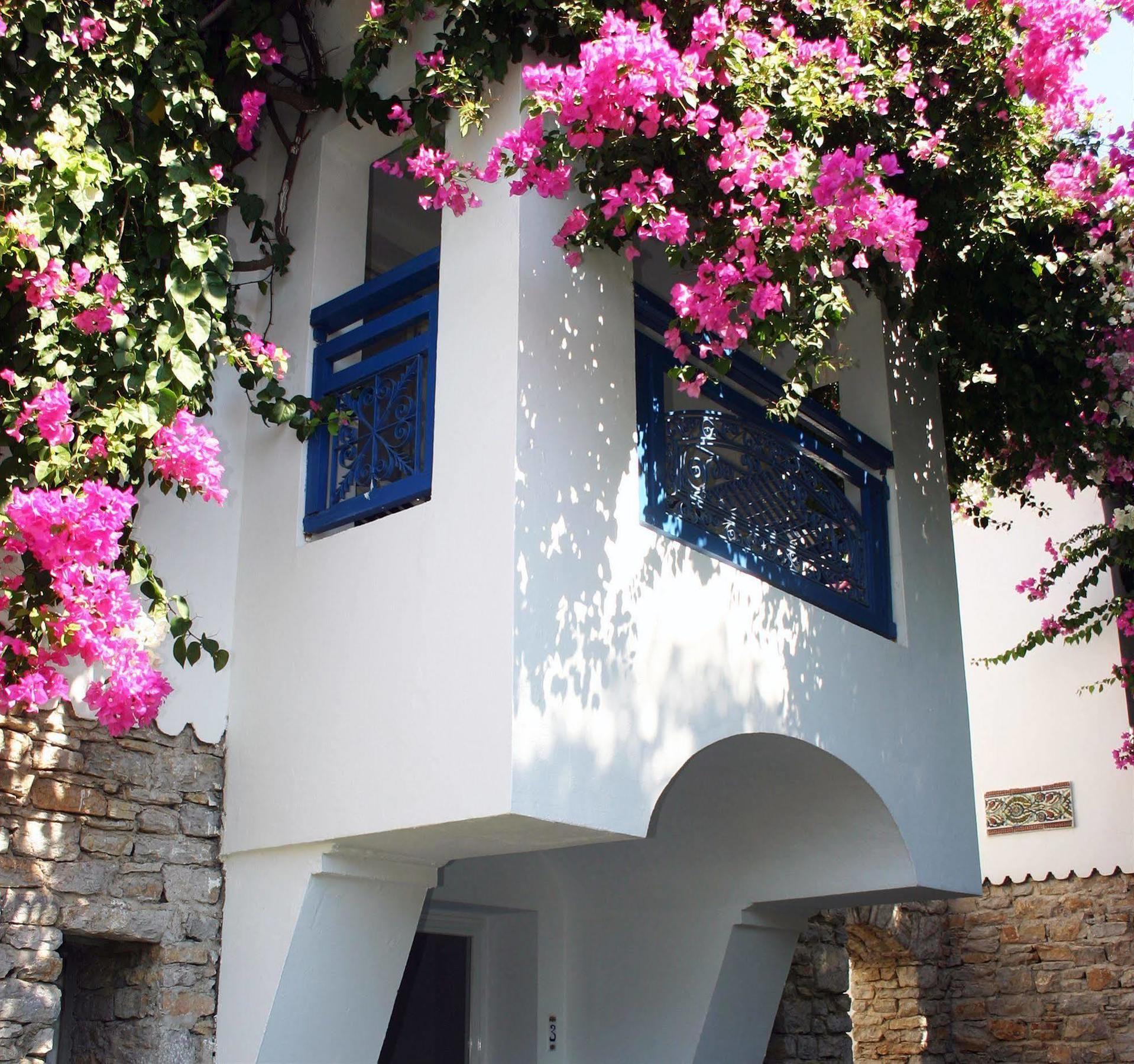 Marphe Datca