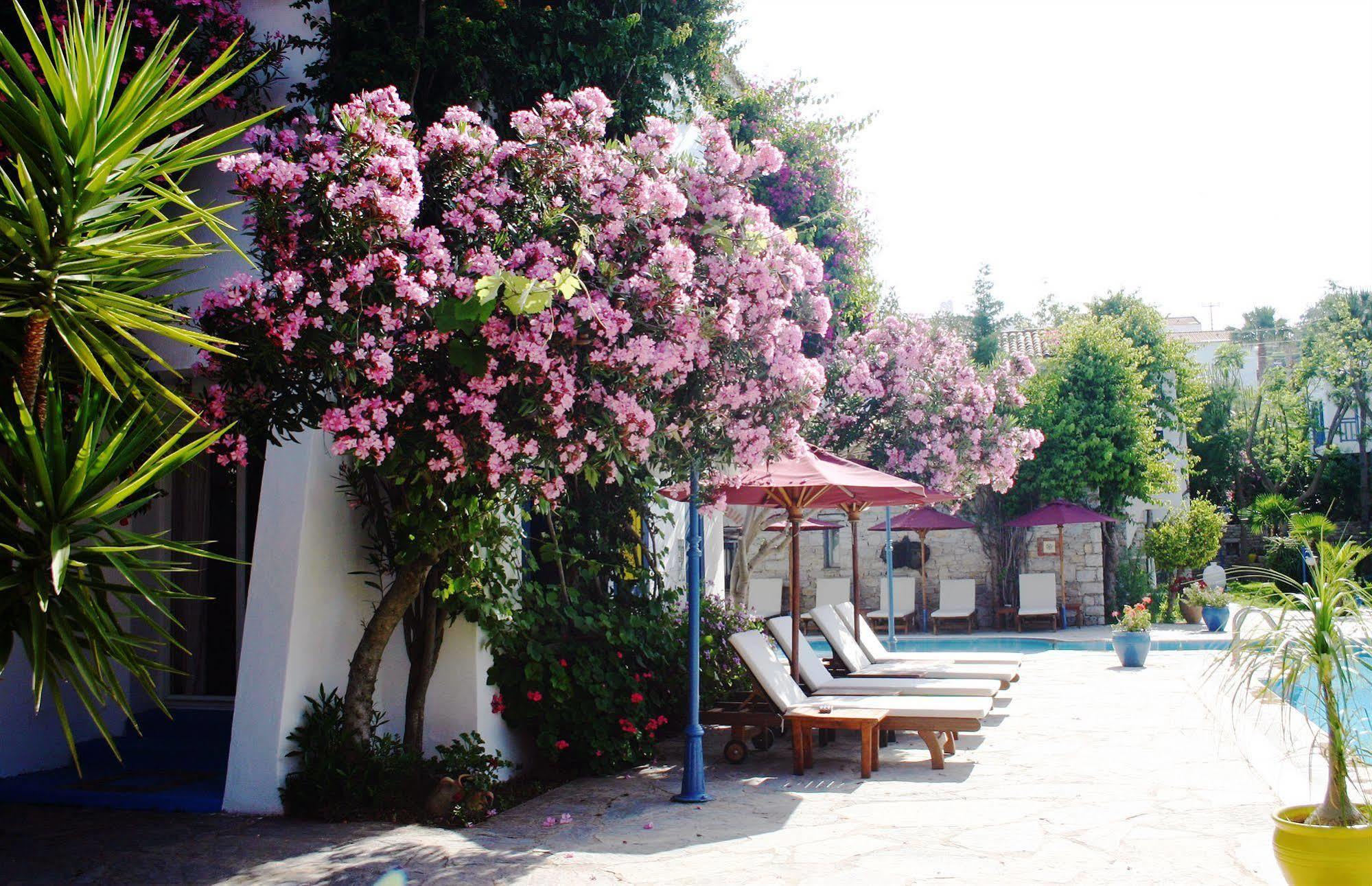 Hotel Marphe 4*