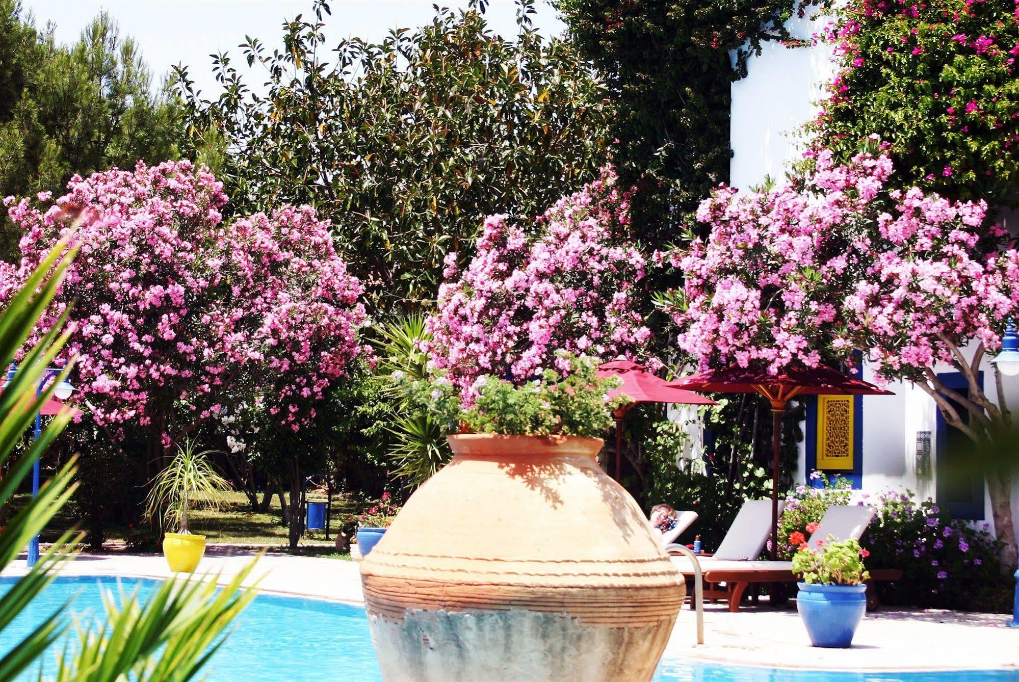 Marphe Hotel