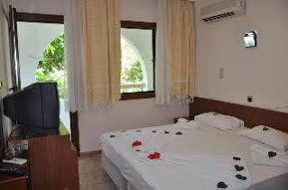 Anil 3*