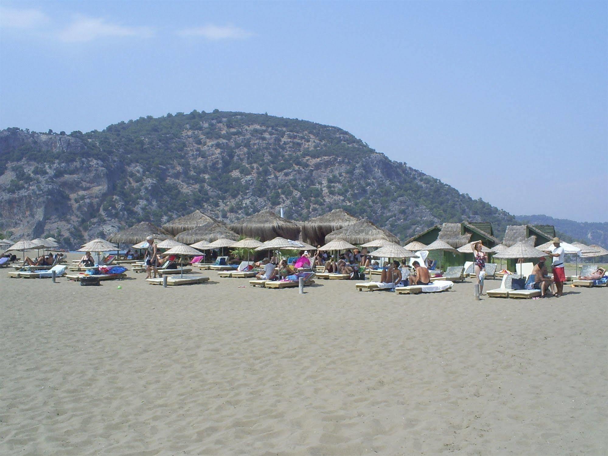 Portakal