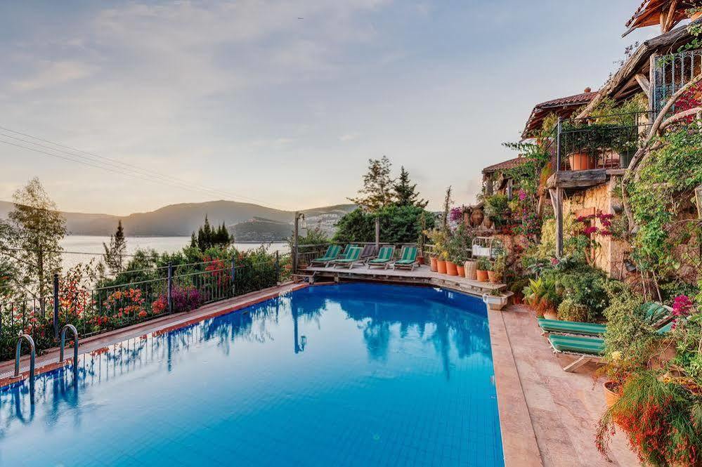 Fidanka 3* Kalkan