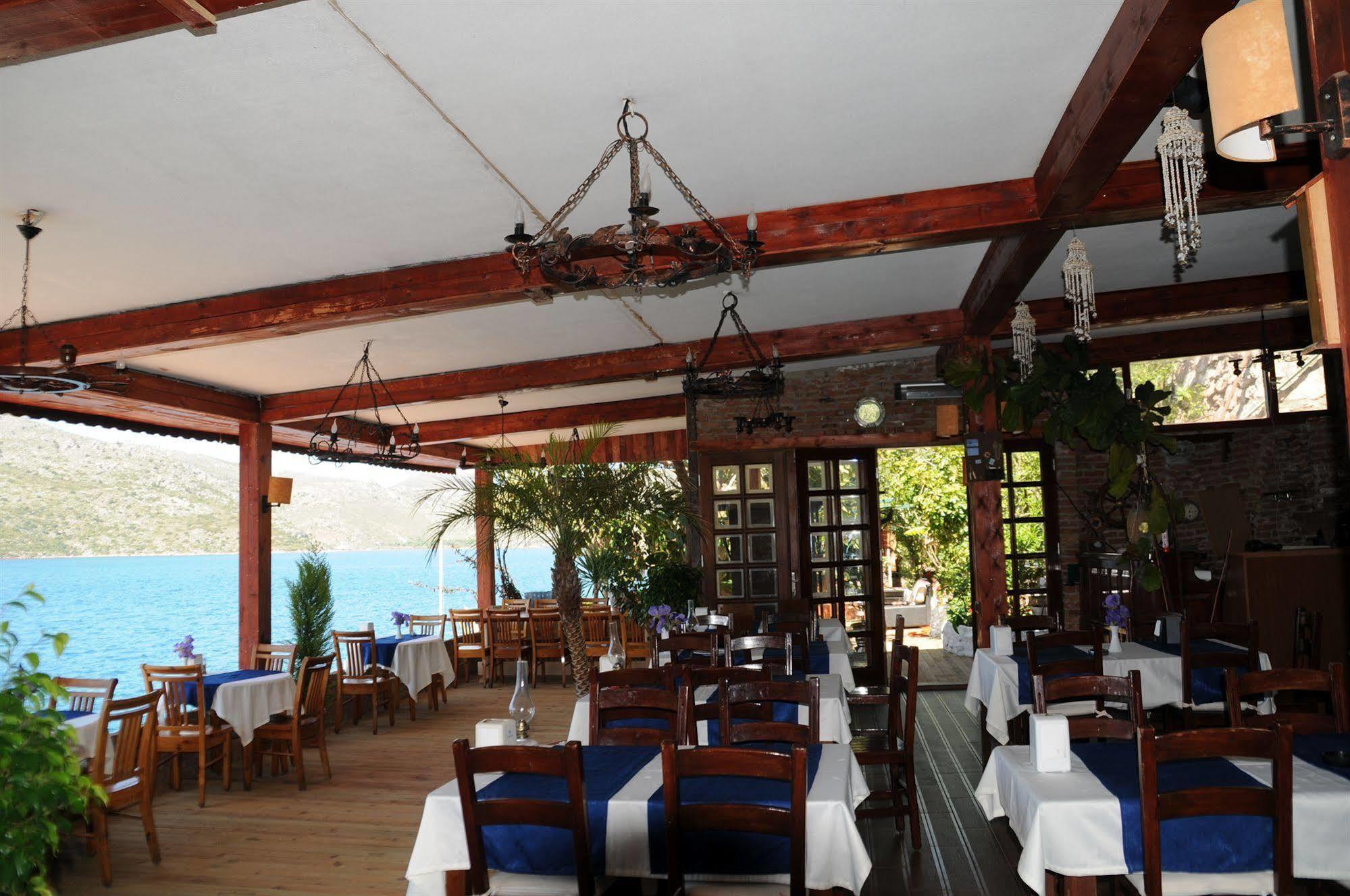 Dolphin Selimiye (Aegean)