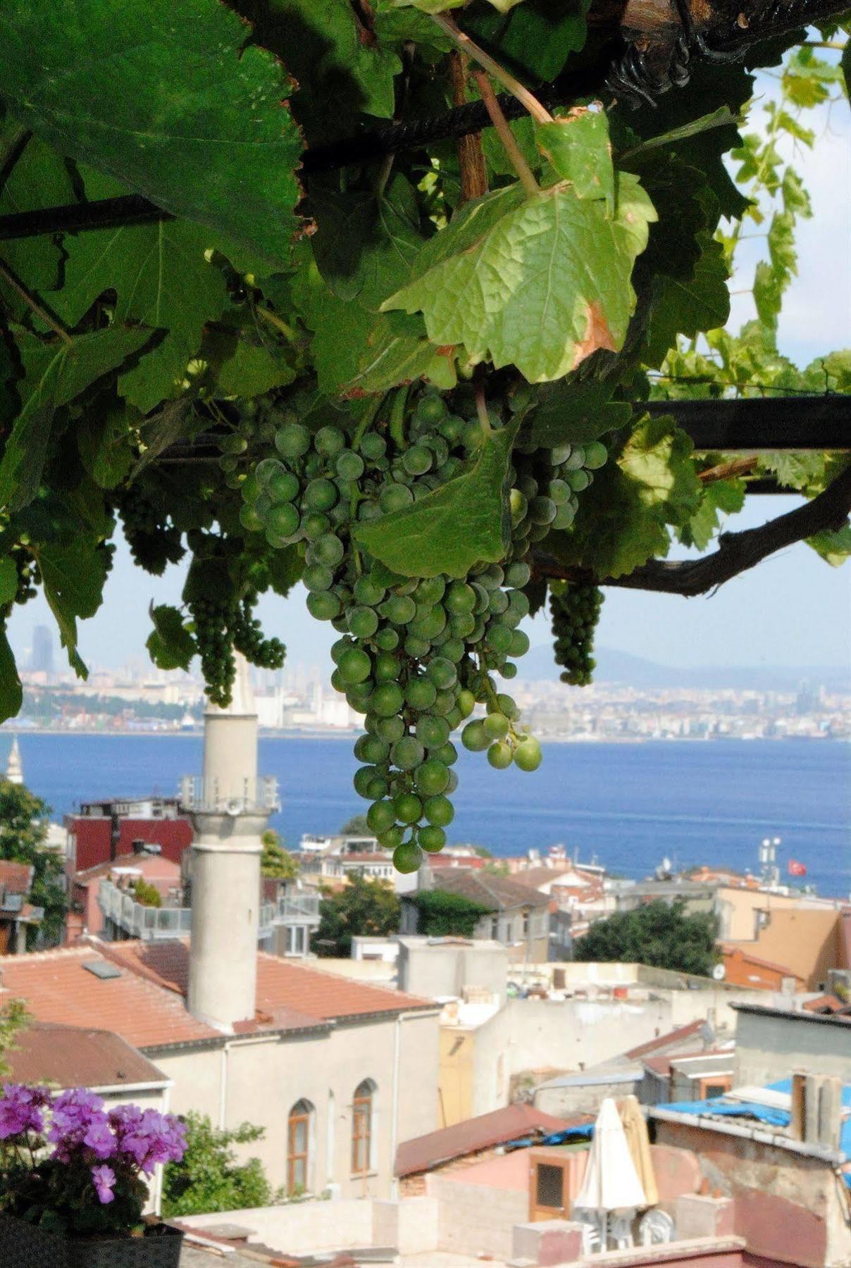 Buhara Family Hotel Istanbul