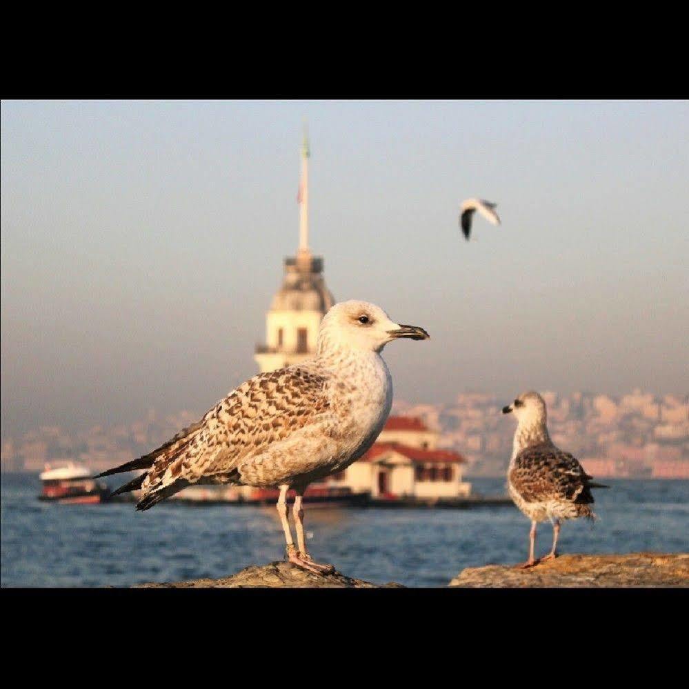 Luxury Grand Bazaar Guest house
