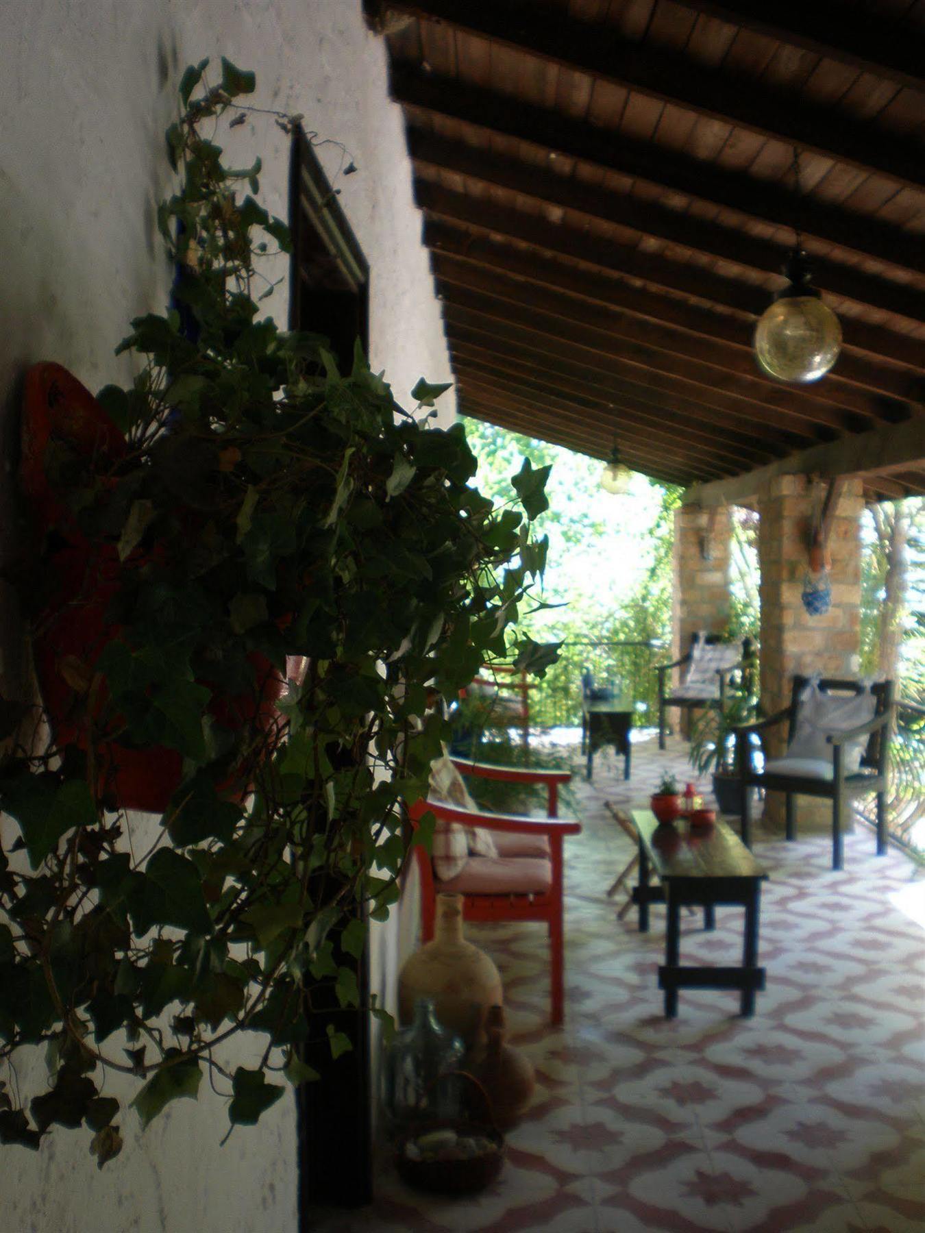 Bakkhos 3* Kusadasi
