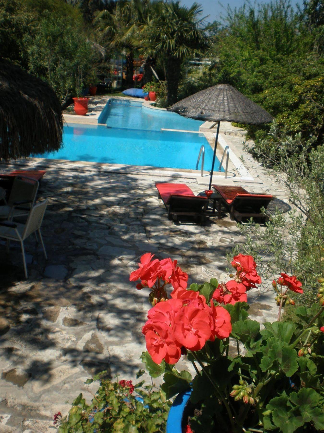 Bakkhos 3* Kusadasi