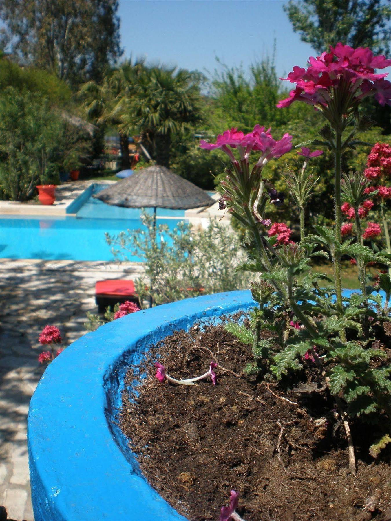 Bakkhos Kusadasi