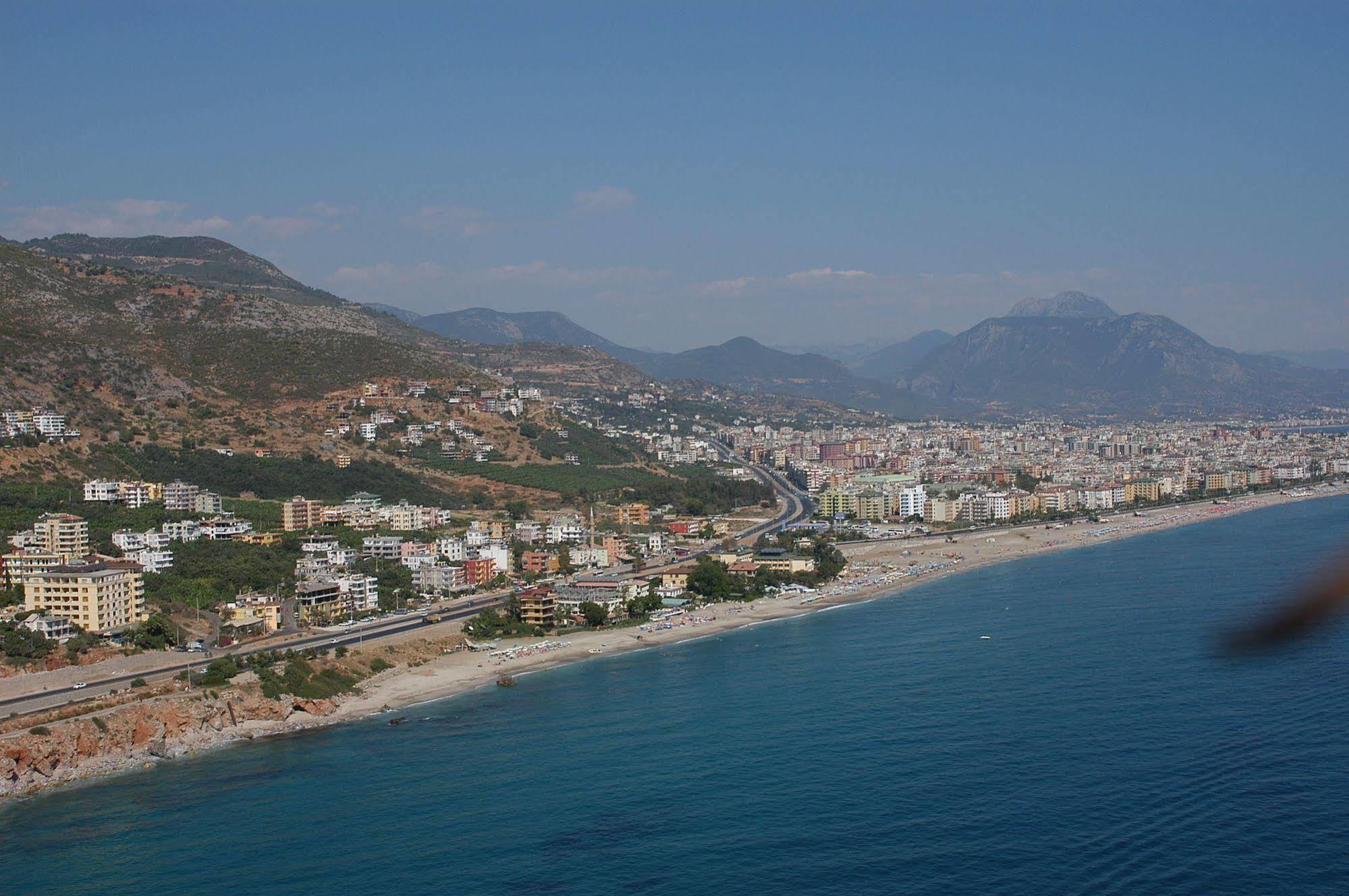 Muz Alanya
