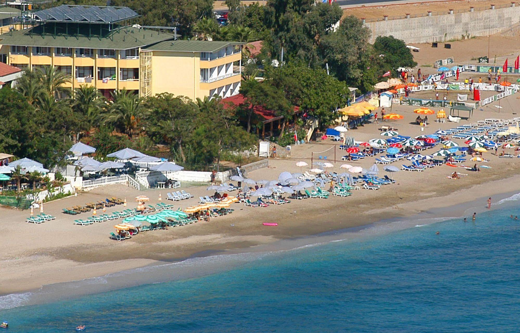 Muz 2* Alanya