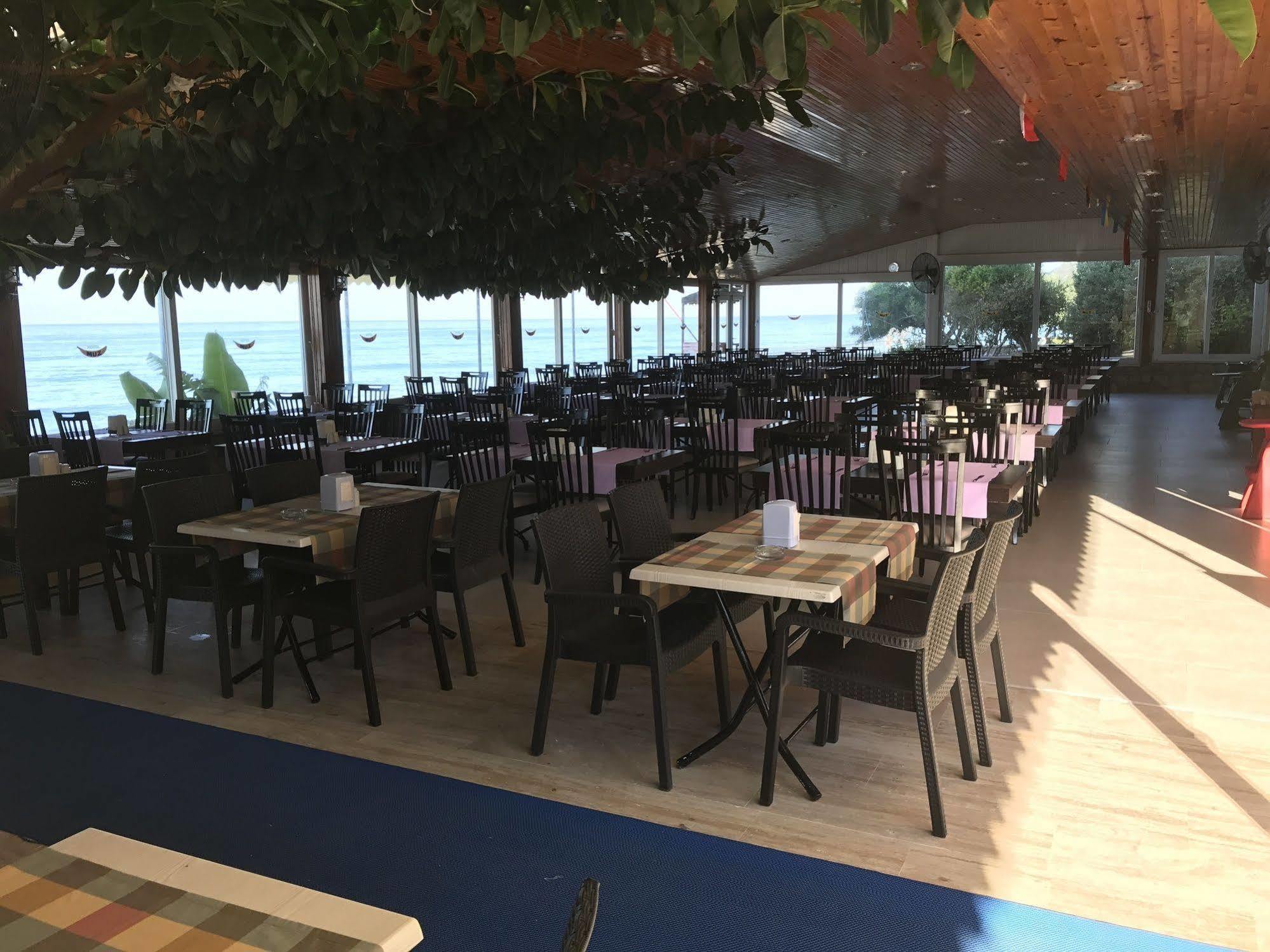 Muz 2* Alanya