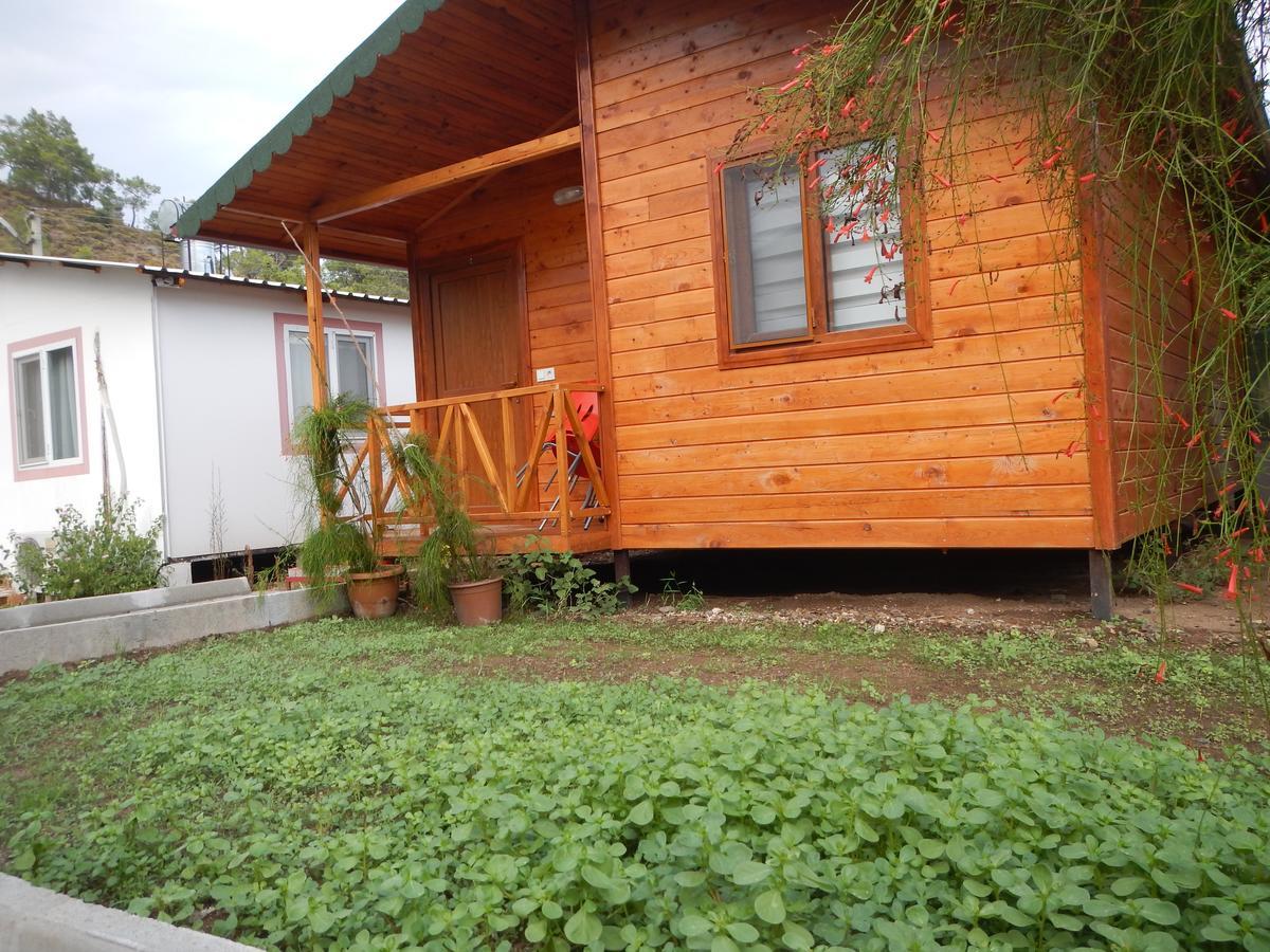 Kocakaya Bungalow Homestay