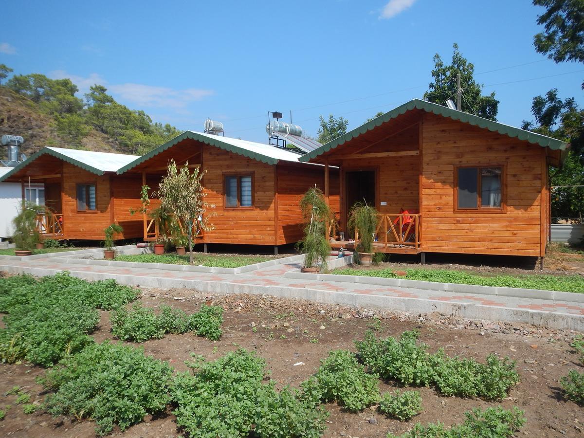 Kocakaya Bungalow Homestay *