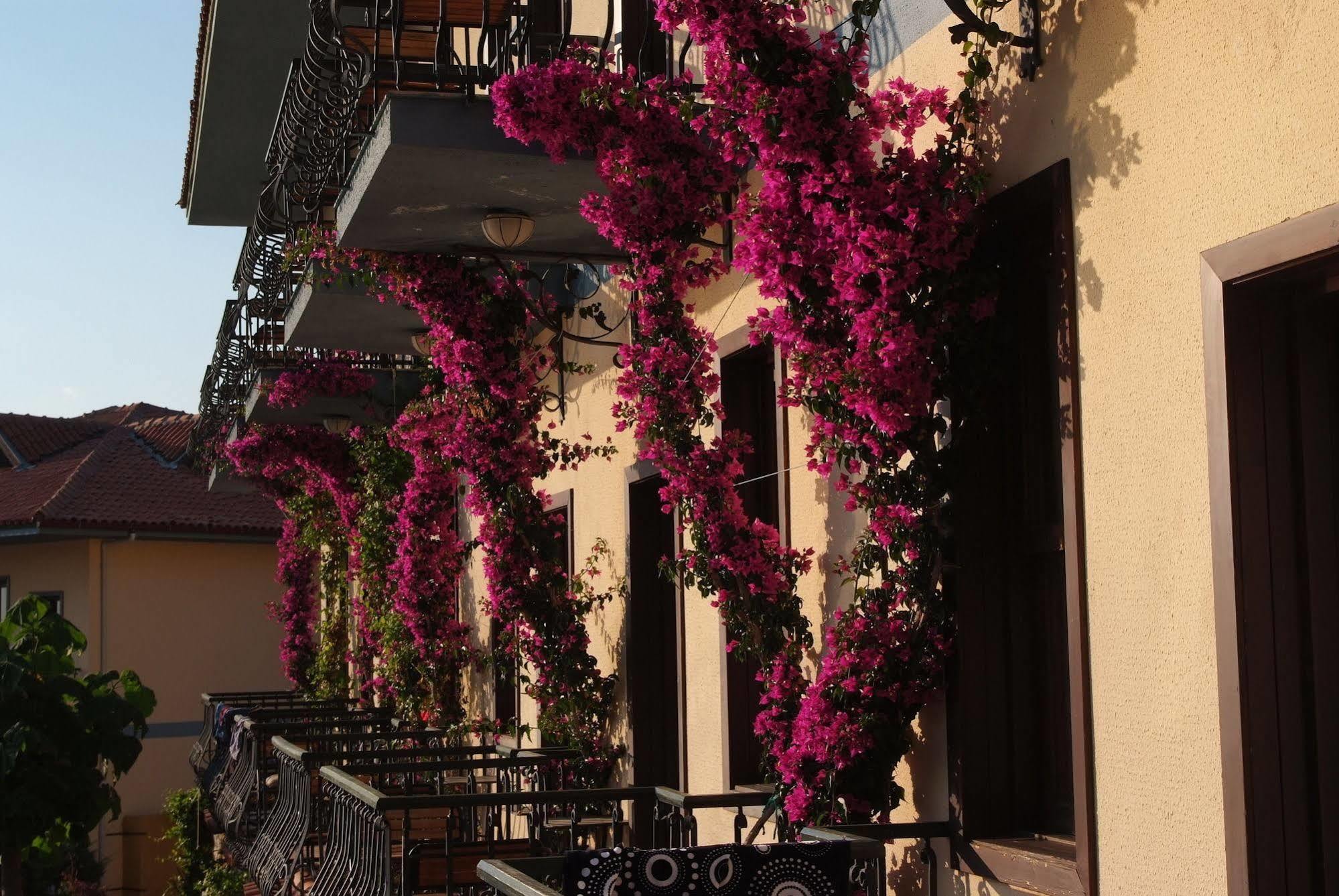 Hotel Green Anatolia Club 3*