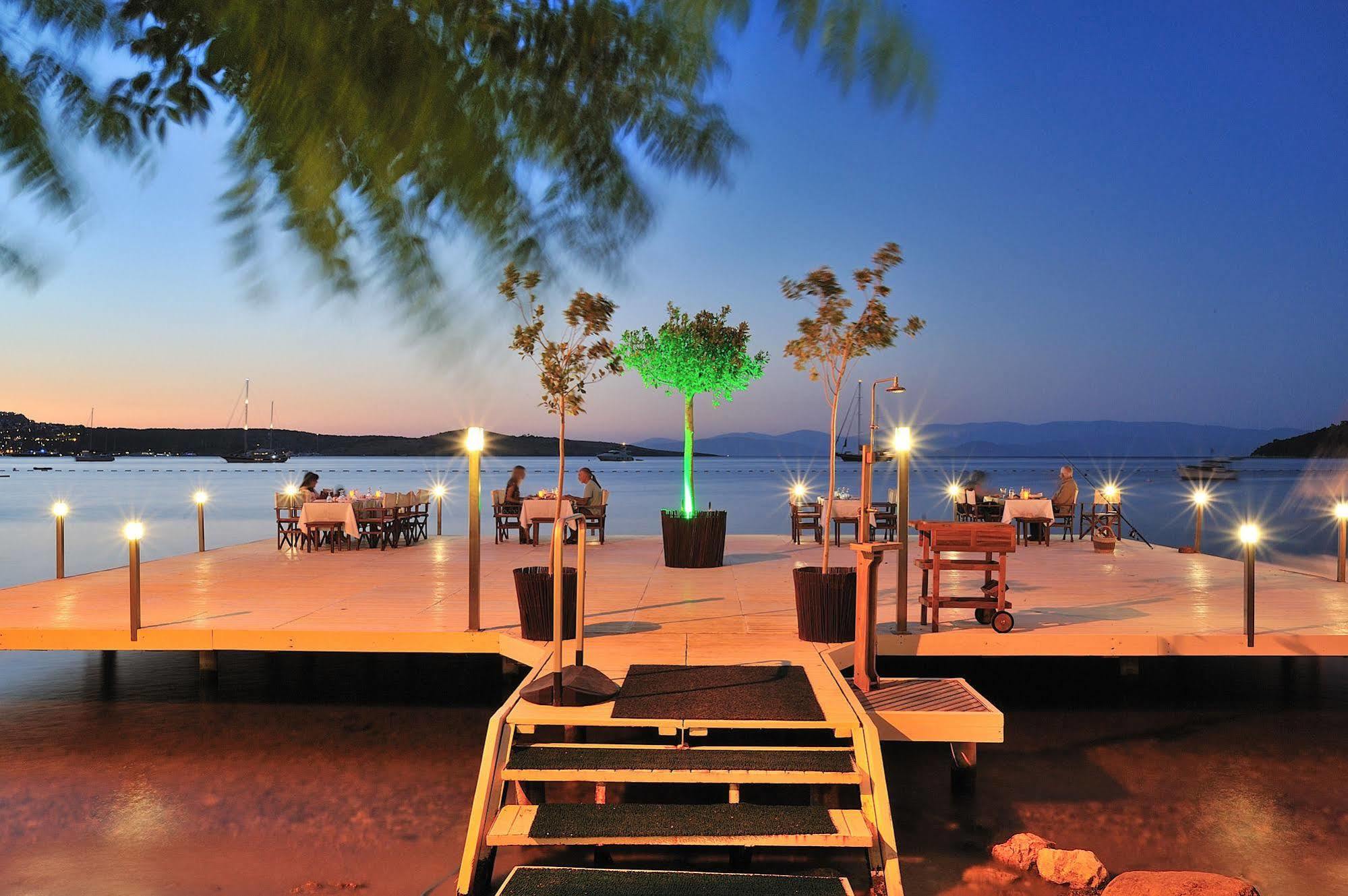 Golkoy *