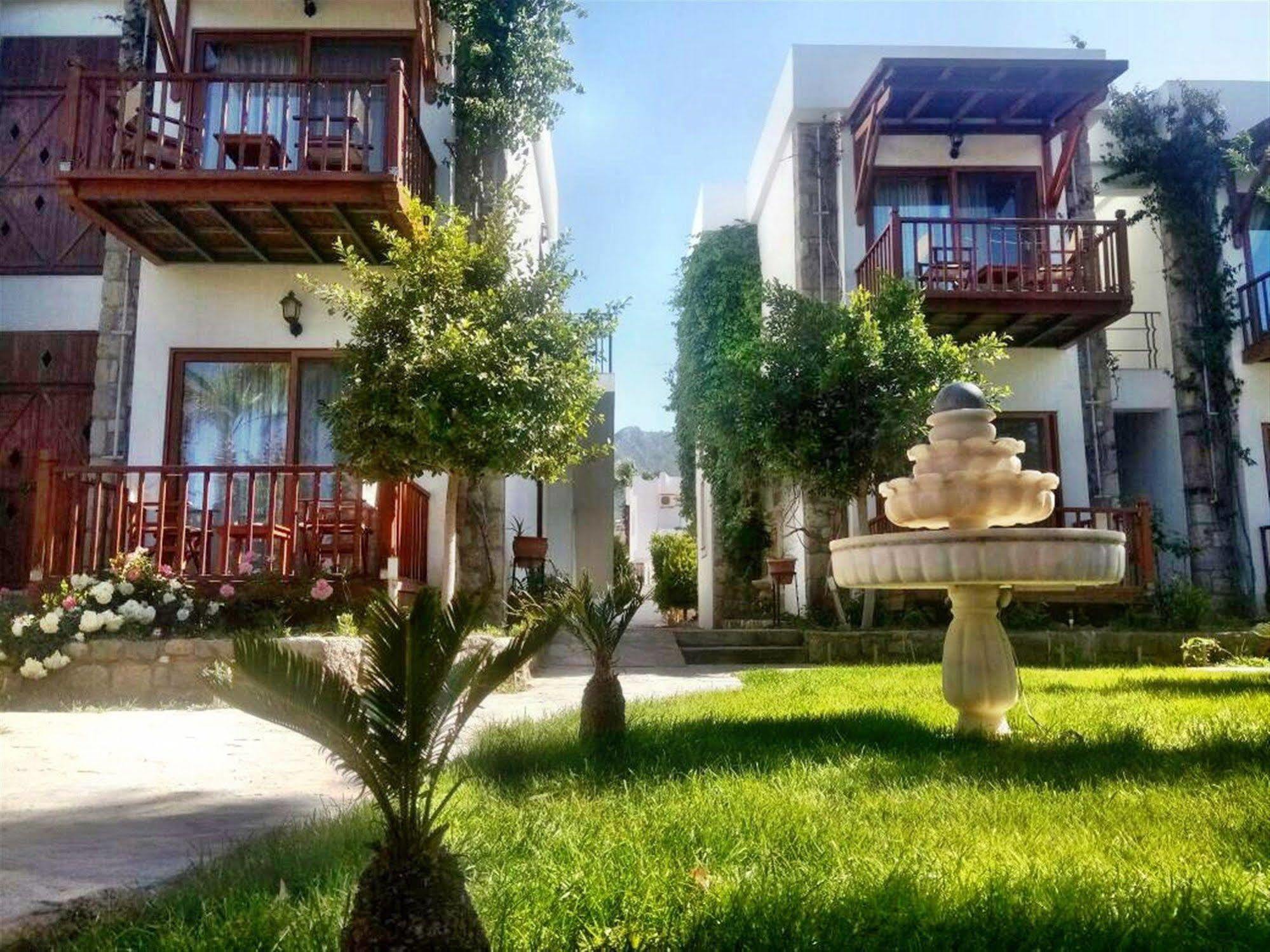 Golkoy Golturkbuku