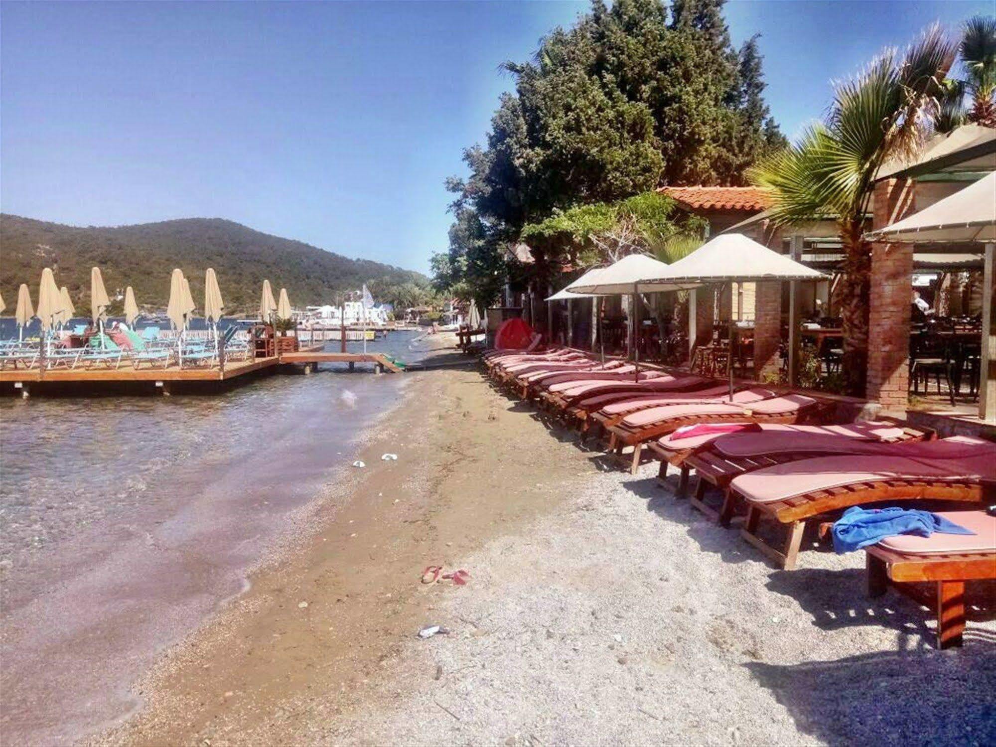 Golkoy