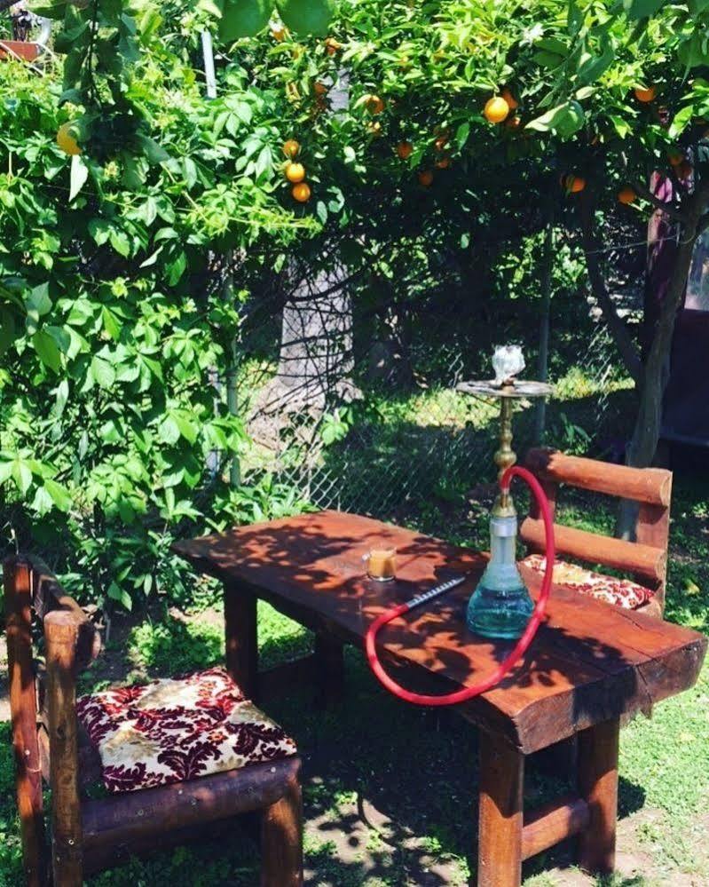 Guest house Alican 3*