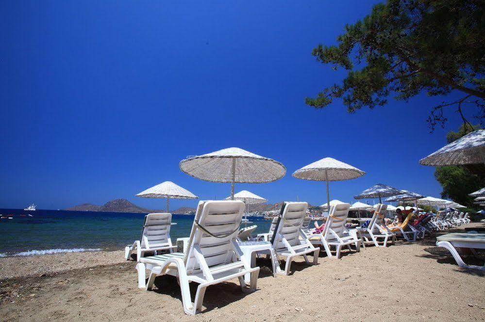 Aparthotel Mer-can Story