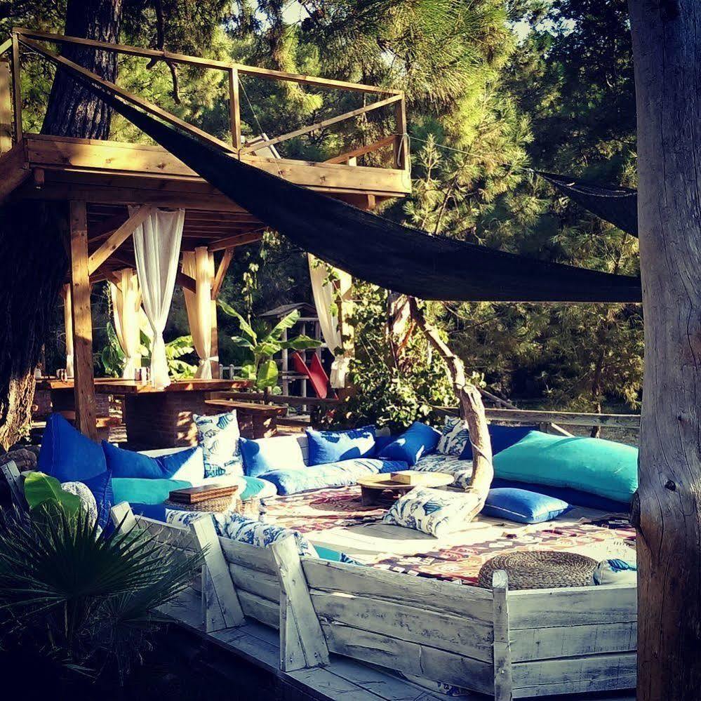 Inn Chakra Kabak Faralya