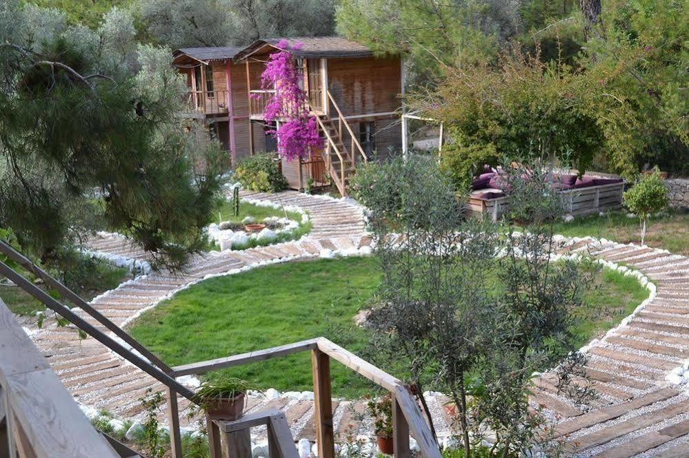 Chakra Kabak Inn Faralya