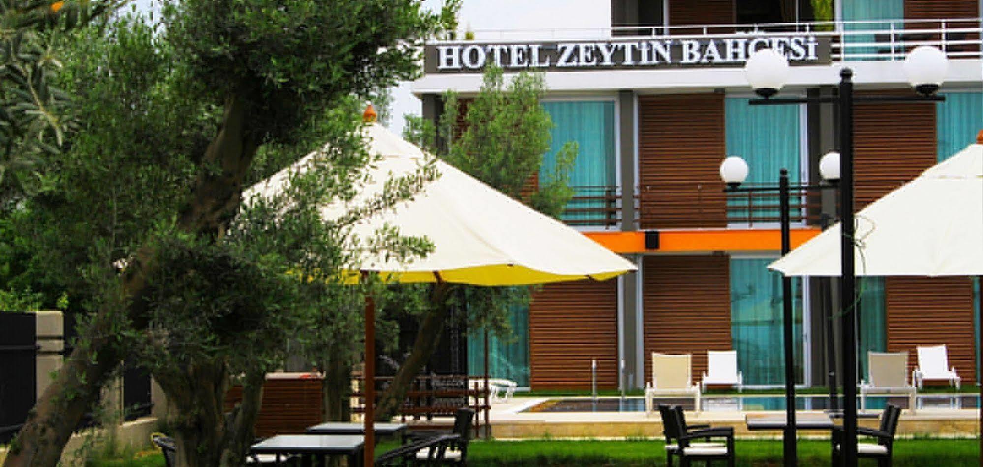 Zeytin Bahcesi