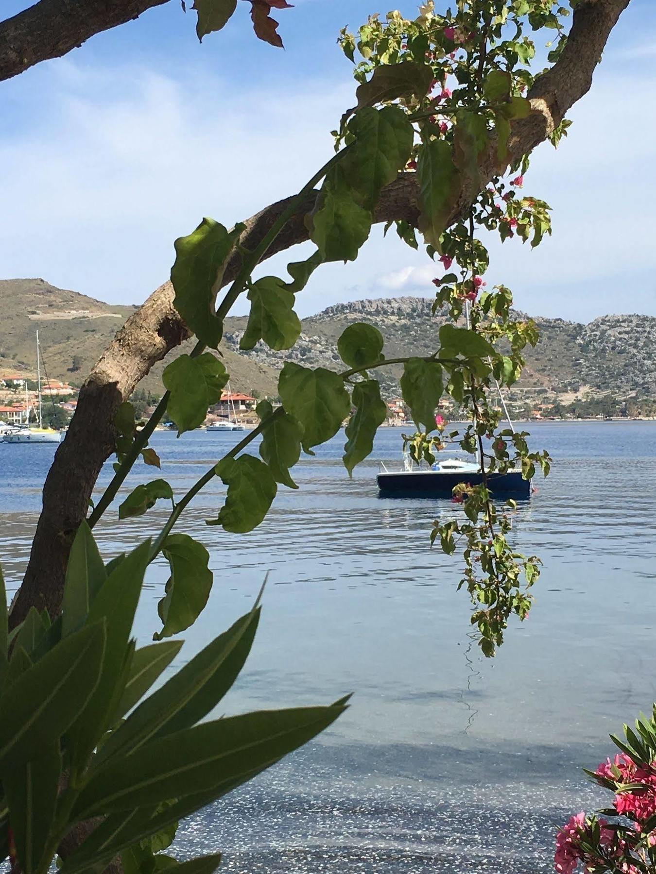 Beyaz Iskele & Restaurant 5* Selimiye (Aegean)