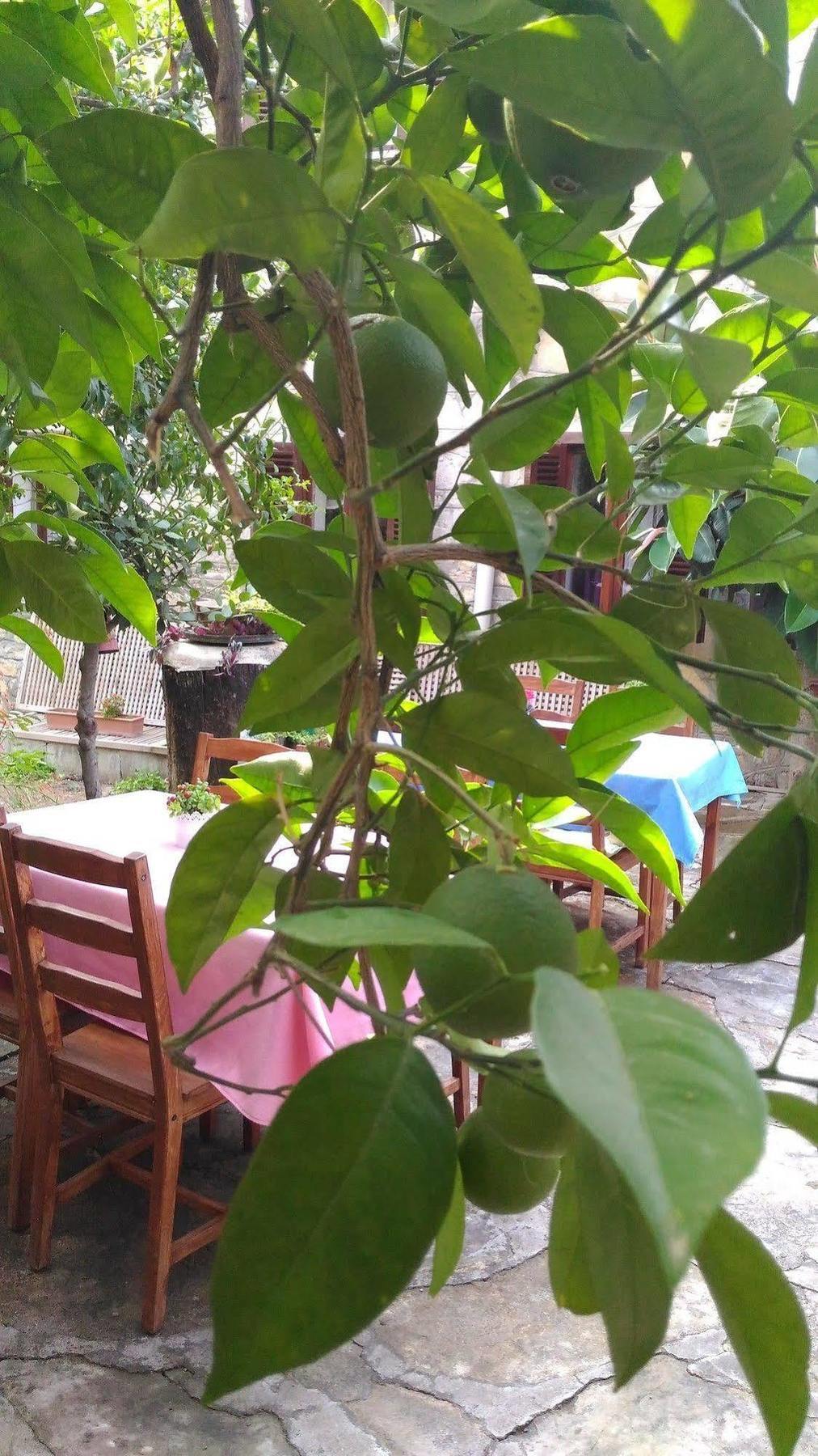 Yuekser Guest house 3*