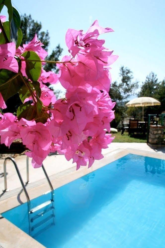 Turkuaz Butik Hotel Sarigerme