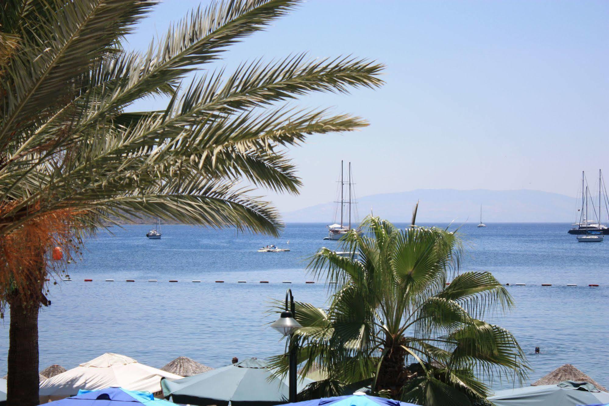 Toloman Hotel 2*