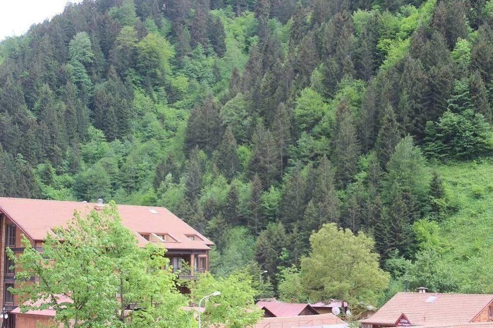My Hotel 2*