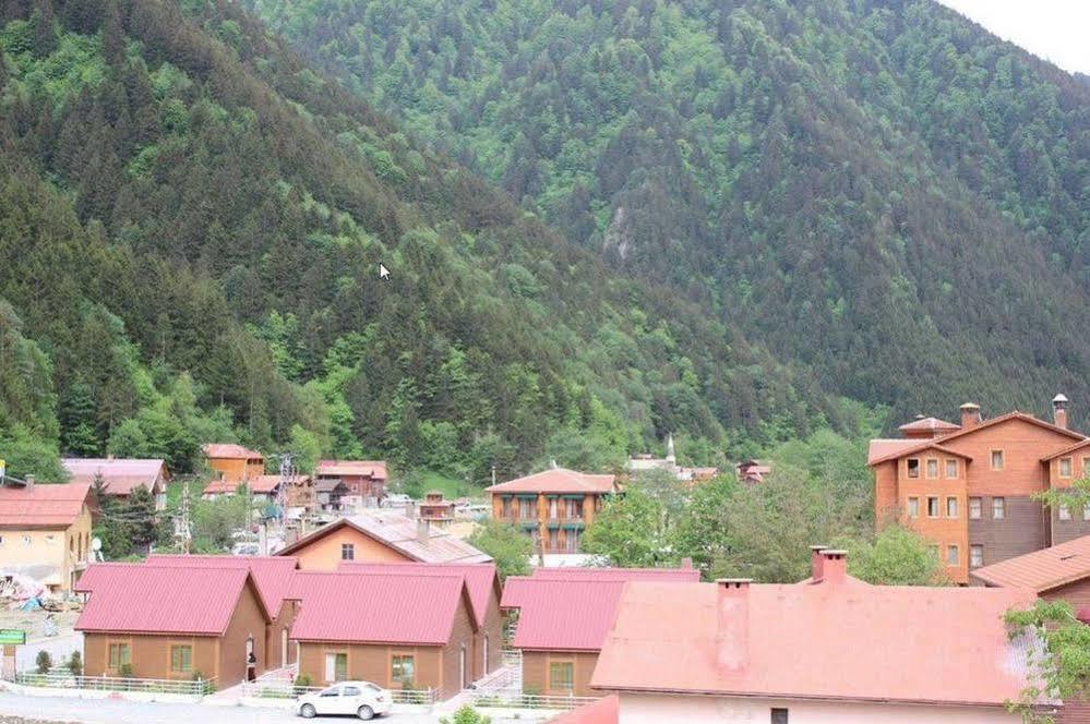 Hotel My Uzungol