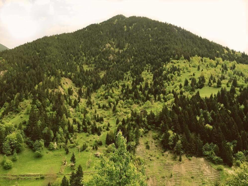 Inceli Uzungol
