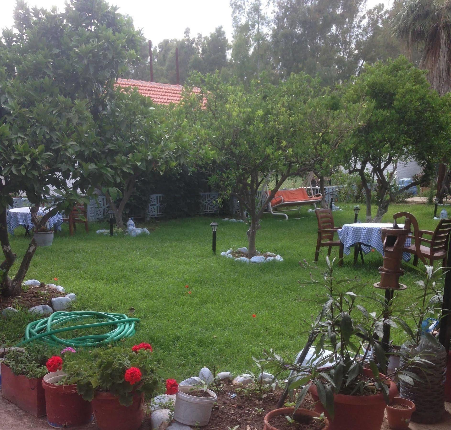Homestay Gelincik *