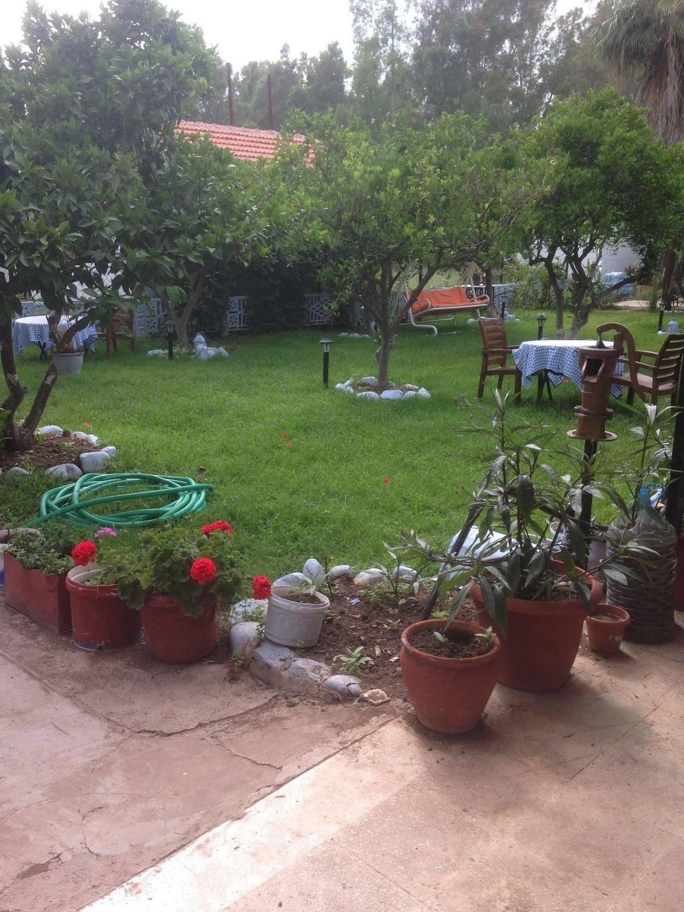 Homestay Gelincik *