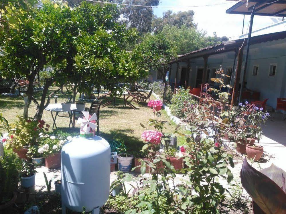 Gelincik Orhaniye (Marmaris)