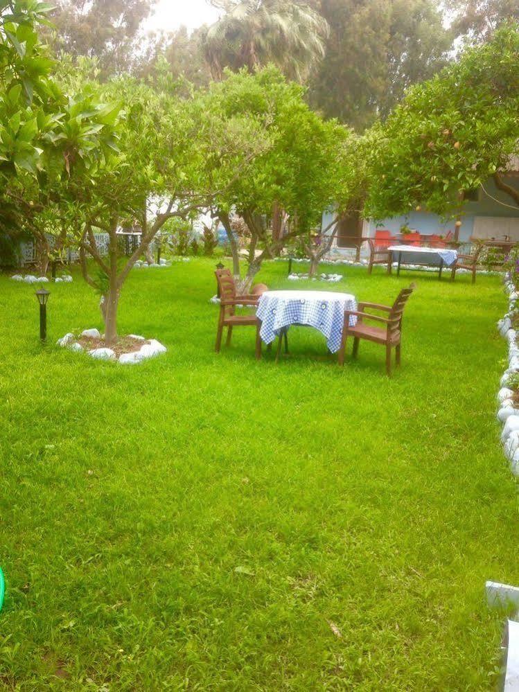 Gelincik Homestay *