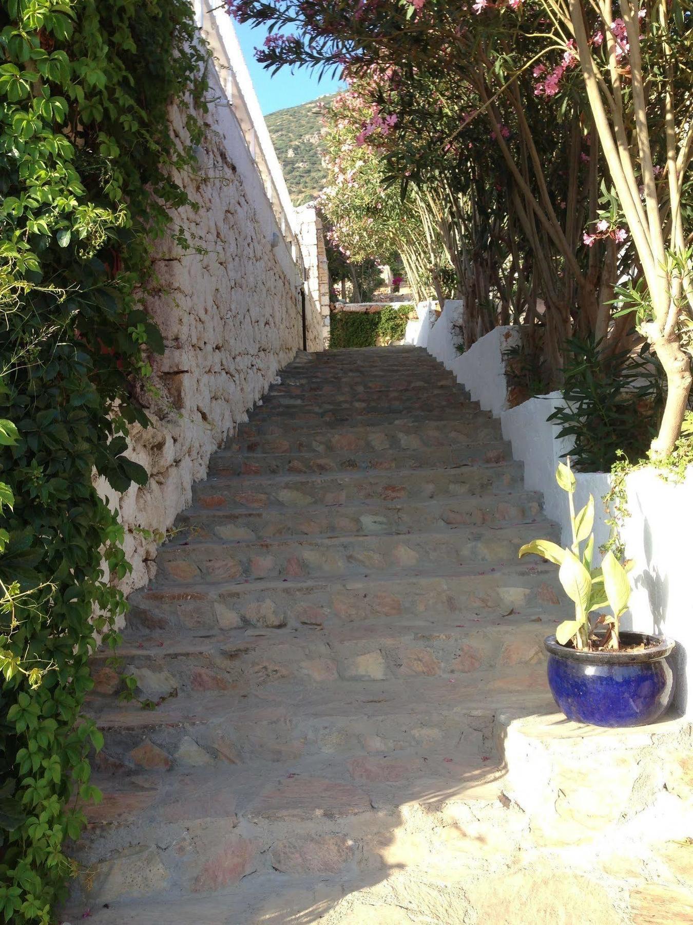 Lavender's Kalkan