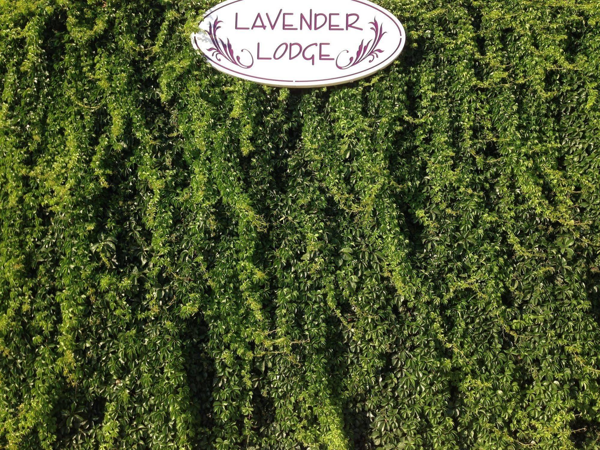 Bed & Breakfast Lavender's