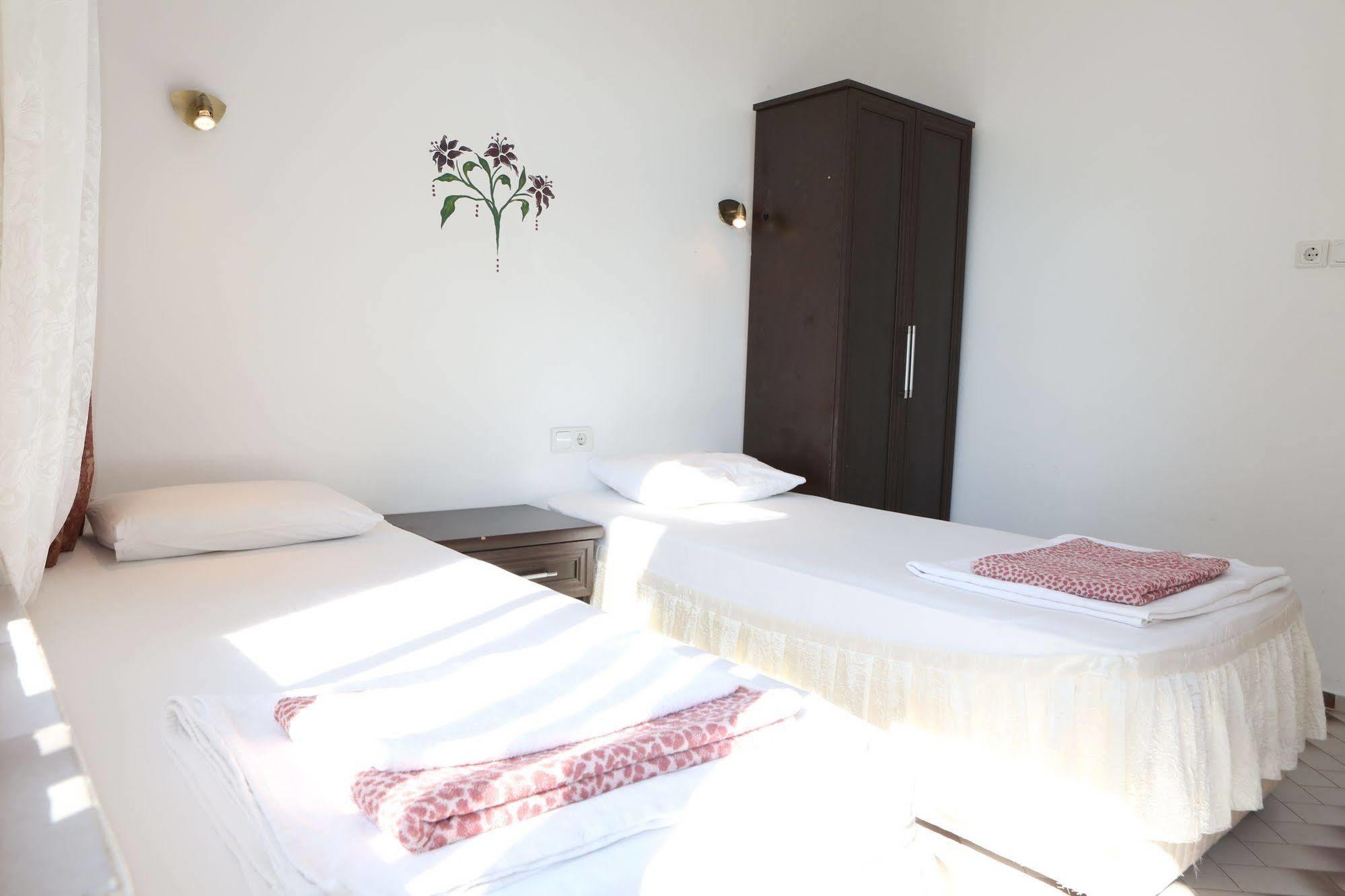 Santosa Guest house *